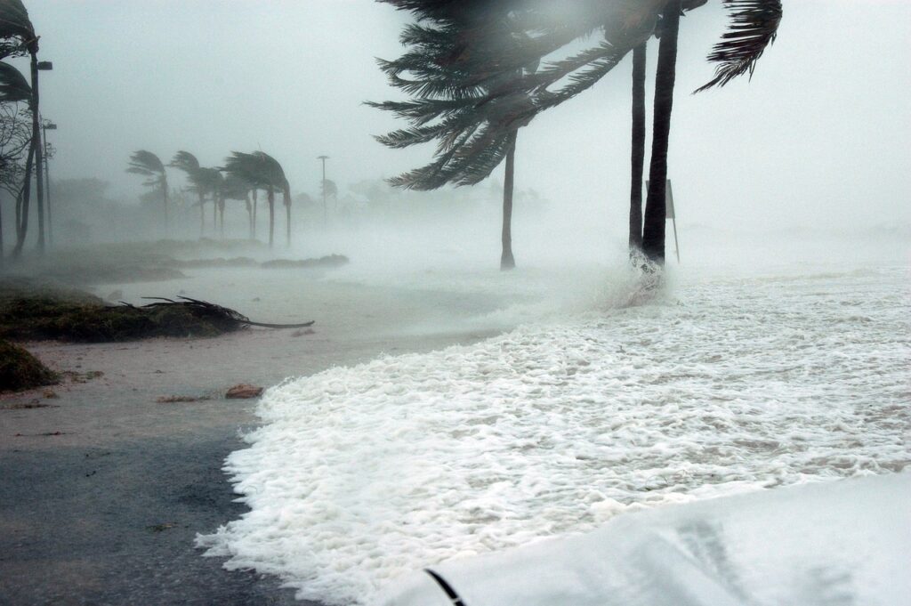 key west, florida, hurricane-81664.jpg
