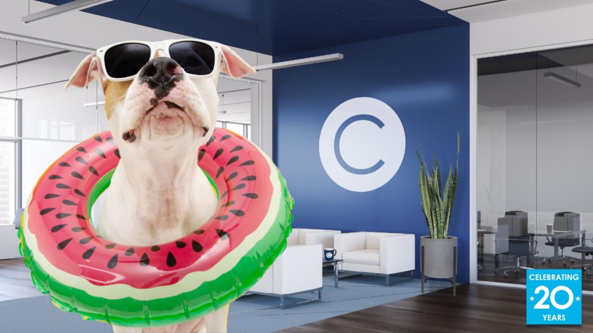 CONSTANT office background with a dog in a watermelon themed inner tube.