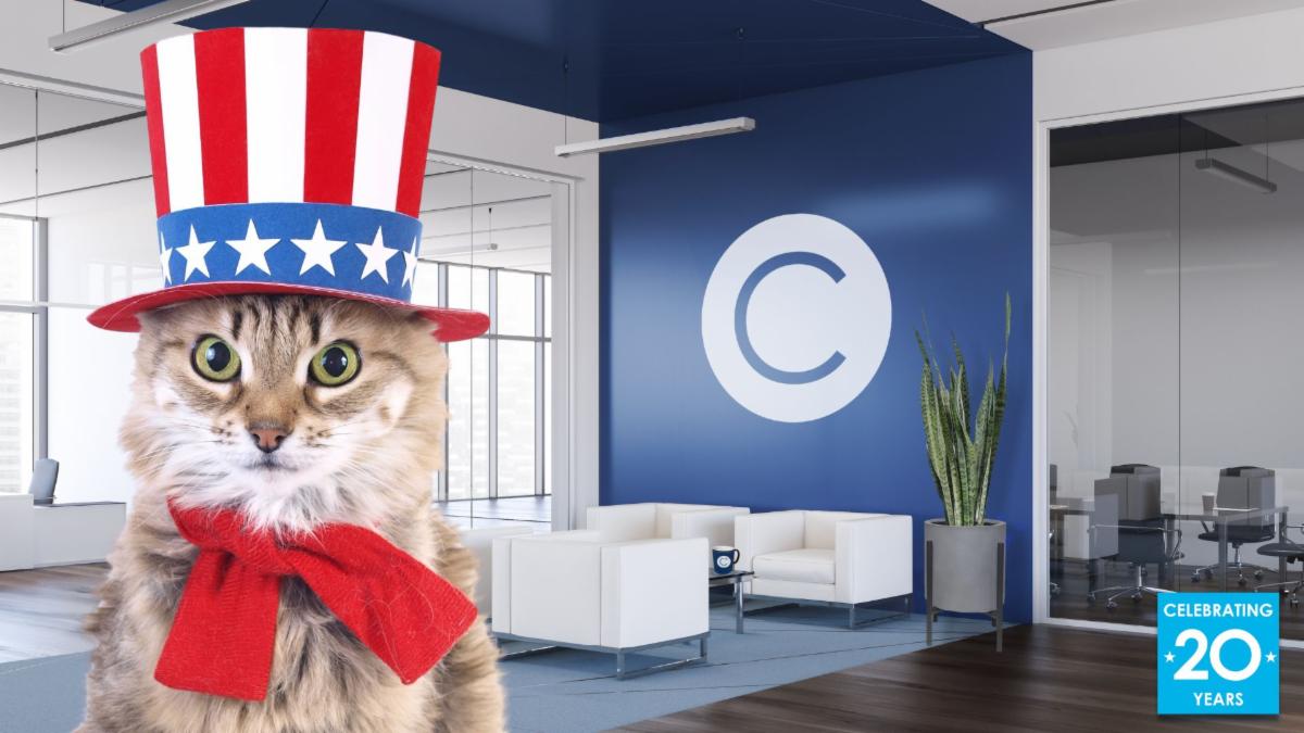 CONSTANT virtual office background featuring a cat wearing Fourth of July patriotic gear.